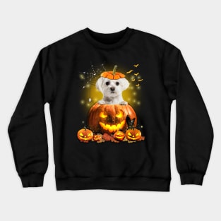 White Maltese Spooky Halloween Pumpkin Dog Head Crewneck Sweatshirt